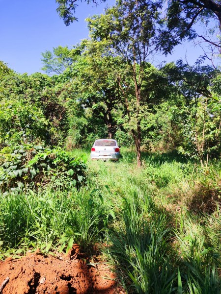 Um carro branco parado em uma área verdejante, cercado por árvores e vegetação alta.
